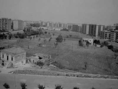 A realizzarlo, su una larga distesa di terreno dove erano situate anche due cascine di fine 800/inizio 900, fu l�azienda di vivai De Grecis